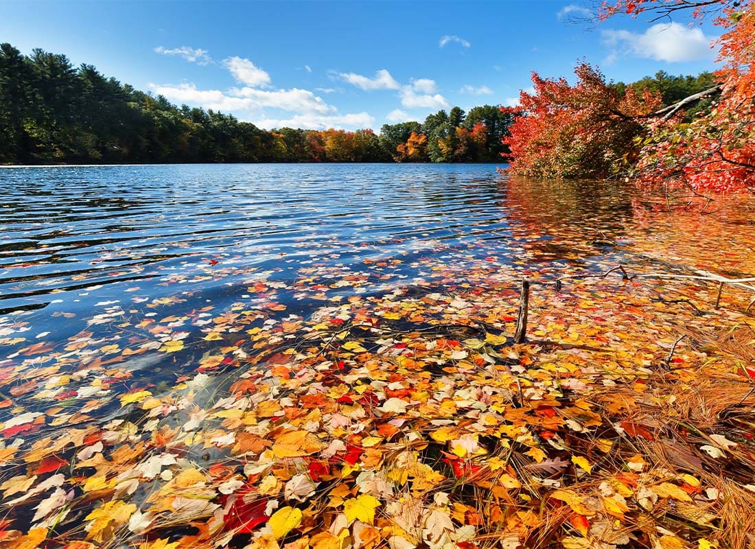 Southborough, MA - Beautiful New England Fall Foliage With Water Reflections on a Sunny Day